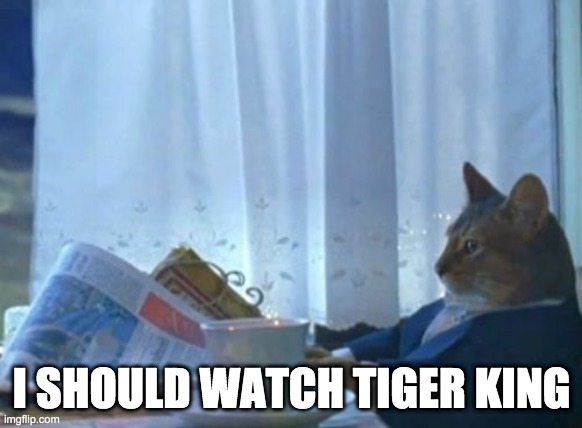 I Should Buy A Boat Cat Meme | I SHOULD WATCH TIGER KING | image tagged in memes,i should buy a boat cat,AdviceAnimals | made w/ Imgflip meme maker