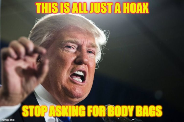 donald trump | THIS IS ALL JUST A HOAX; STOP ASKING FOR BODY BAGS | image tagged in donald trump | made w/ Imgflip meme maker