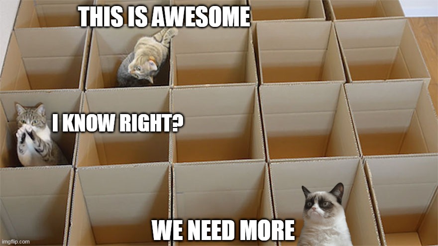 CAT KINGDOM | THIS IS AWESOME; I KNOW RIGHT? WE NEED MORE | image tagged in grumpy cat,cats,funny cats | made w/ Imgflip meme maker