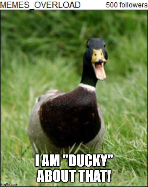 I AM "DUCKY" ABOUT THAT! | image tagged in happy duck | made w/ Imgflip meme maker