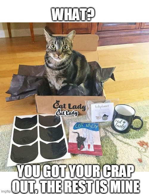 CAT IN THE BOX | WHAT? YOU GOT YOUR CRAP OUT, THE REST IS MINE | image tagged in cats,funny cats,cat in a box | made w/ Imgflip meme maker