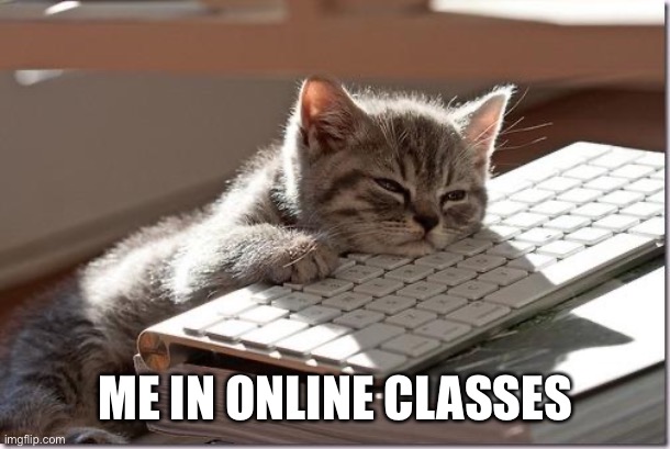 Bored Keyboard Cat | ME IN ONLINE CLASSES | image tagged in bored keyboard cat | made w/ Imgflip meme maker