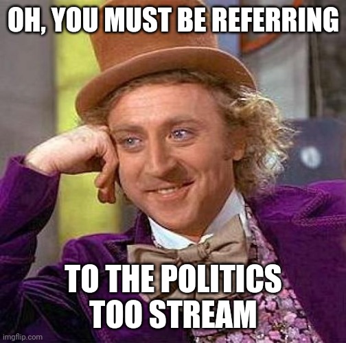 Creepy Condescending Wonka Meme | OH, YOU MUST BE REFERRING TO THE POLITICS TOO STREAM | image tagged in memes,creepy condescending wonka | made w/ Imgflip meme maker