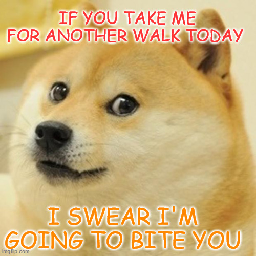 SERIOUSLY | IF YOU TAKE ME FOR ANOTHER WALK TODAY; I SWEAR I'M GOING TO BITE YOU | made w/ Imgflip meme maker