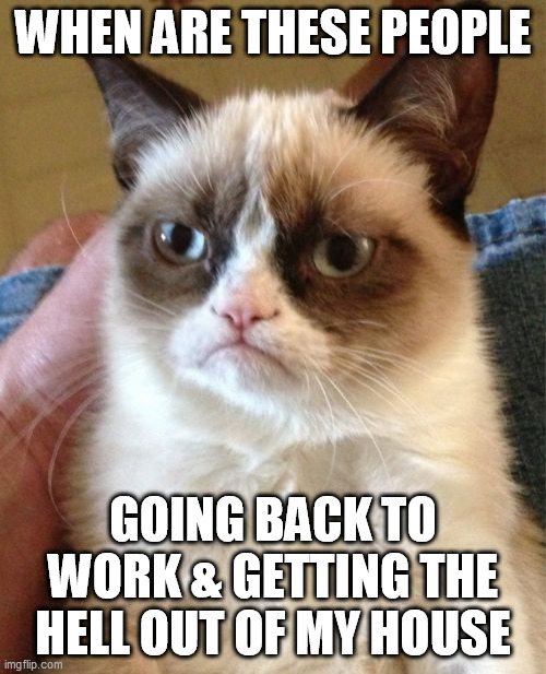 Grumpy Cat Meme | WHEN ARE THESE PEOPLE; GOING BACK TO WORK & GETTING THE HELL OUT OF MY HOUSE | image tagged in memes,grumpy cat | made w/ Imgflip meme maker
