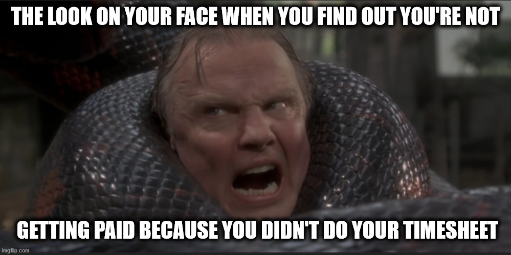 Time Sheets On Those Who Forget To Do There Timesheet | THE LOOK ON YOUR FACE WHEN YOU FIND OUT YOU'RE NOT; GETTING PAID BECAUSE YOU DIDN'T DO YOUR TIMESHEET | image tagged in timesheet reminder,timesheet meme,timesheet,timeshits | made w/ Imgflip meme maker
