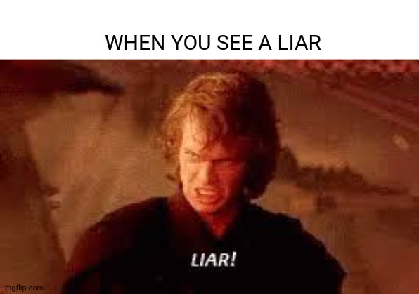 Anakin Liar | WHEN YOU SEE A LIAR | image tagged in anakin liar | made w/ Imgflip meme maker