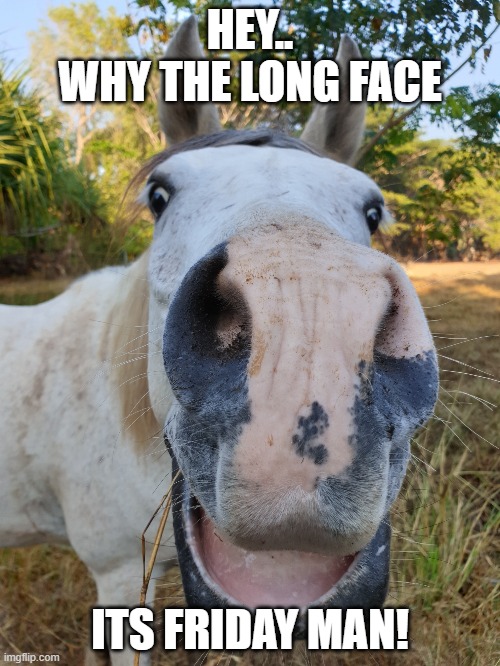 Horse Face | HEY..
WHY THE LONG FACE; ITS FRIDAY MAN! | image tagged in horse face | made w/ Imgflip meme maker