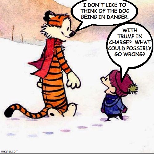 Calvin and hobbs | I DON'T LIKE TO
THINK OF THE DOC
BEING IN DANGER. WITH TRUMP IN CHARGE?  WHAT COULD POSSIBLY GO WRONG? | image tagged in calvin and hobbs | made w/ Imgflip meme maker