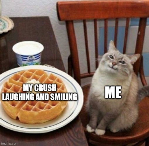 Cat likes their waffle | MY CRUSH LAUGHING AND SMILING; ME | image tagged in cat likes their waffle | made w/ Imgflip meme maker