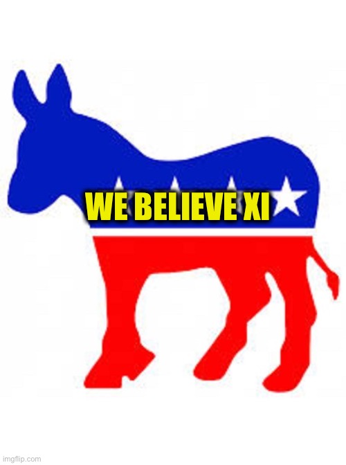 Democrat donkey | WE BELIEVE XI | image tagged in democrat donkey | made w/ Imgflip meme maker