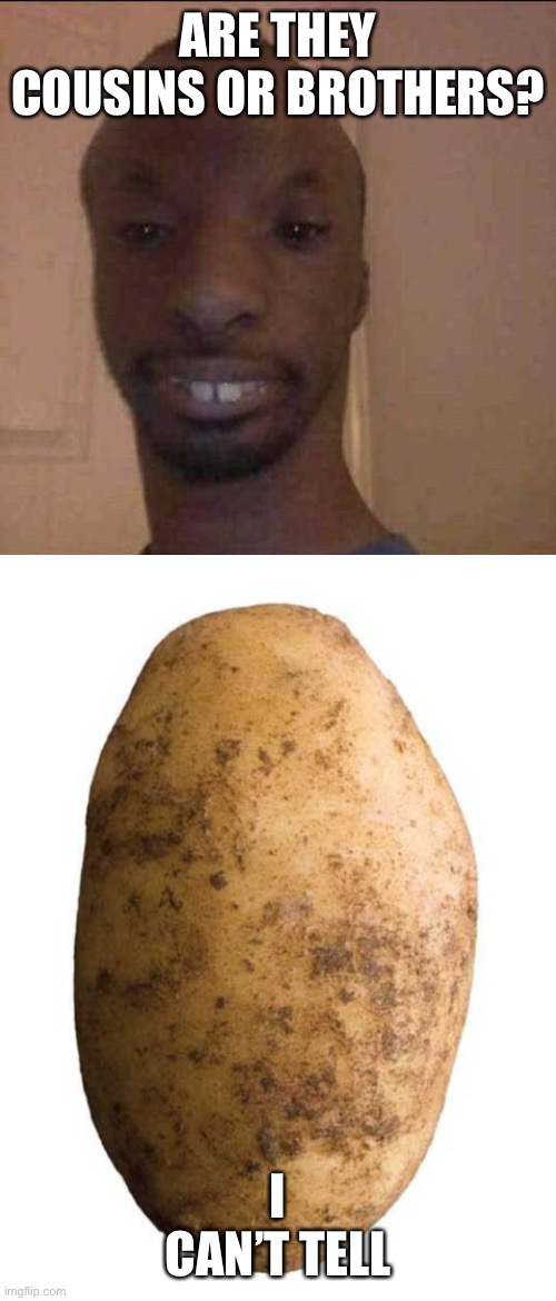  ARE THEY COUSINS OR BROTHERS? I CAN’T TELL | image tagged in africans,memes,funny,potatoes | made w/ Imgflip meme maker