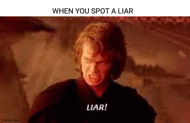Anakin Liar | WHEN YOU SPOT A LIAR | image tagged in anakin liar | made w/ Imgflip meme maker
