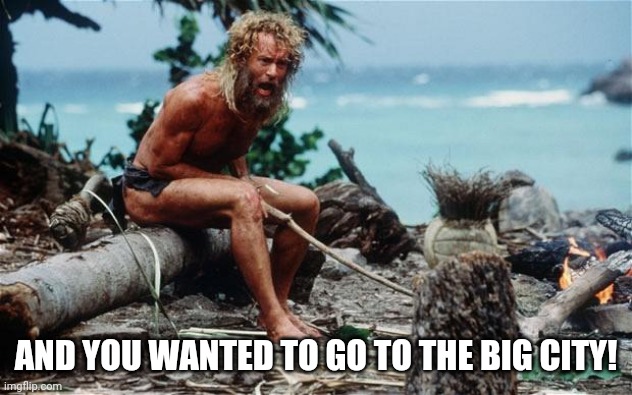 Wilson - Tom Hanks | AND YOU WANTED TO GO TO THE BIG CITY! | image tagged in wilson - tom hanks | made w/ Imgflip meme maker