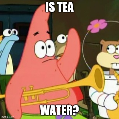 No Patrick | IS TEA; WATER? | image tagged in memes,no patrick | made w/ Imgflip meme maker