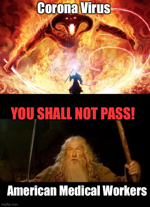 And that’s how this is gonna end! | Corona Virus; YOU SHALL NOT PASS! American Medical Workers | image tagged in you shall not pass,epic balrog,corona virus,american medical community | made w/ Imgflip meme maker