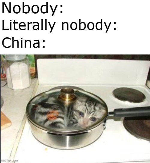 Damn you China | Nobody:; Literally nobody:; China: | image tagged in coronavirus meme,china,chinese food | made w/ Imgflip meme maker