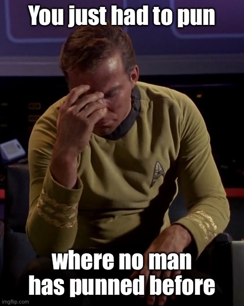 Kirk face palm | You just had to pun where no man has punned before | image tagged in kirk face palm | made w/ Imgflip meme maker