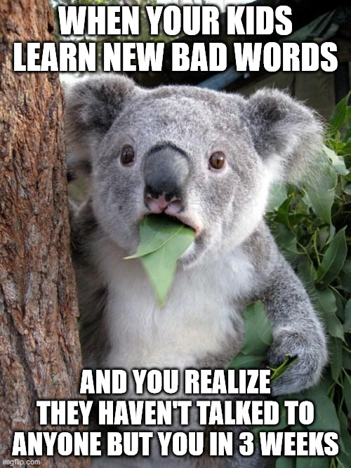 Surprised Koala | WHEN YOUR KIDS LEARN NEW BAD WORDS; AND YOU REALIZE THEY HAVEN'T TALKED TO ANYONE BUT YOU IN 3 WEEKS | image tagged in memes,surprised koala | made w/ Imgflip meme maker