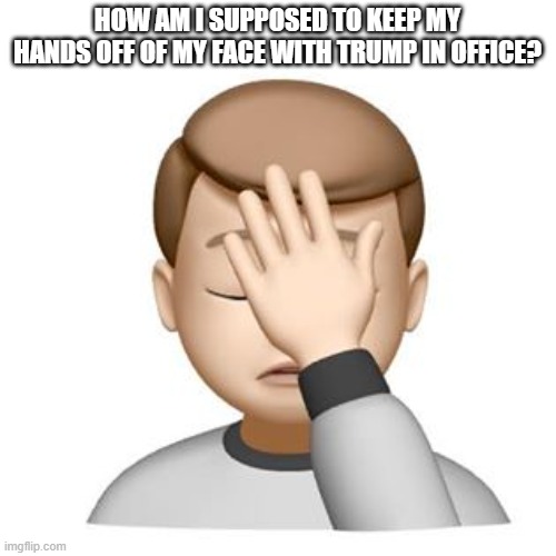HOW AM I SUPPOSED TO KEEP MY HANDS OFF OF MY FACE WITH TRUMP IN OFFICE? | image tagged in president,corona,corona virus | made w/ Imgflip meme maker