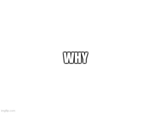 why | WHY | image tagged in why | made w/ Imgflip meme maker