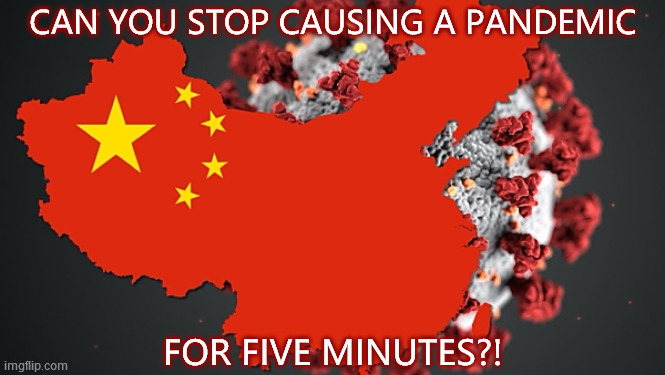The buck stops at the Chinese government. | CAN YOU STOP CAUSING A PANDEMIC; FOR FIVE MINUTES?! | image tagged in china,communist party,virus,outbreak,pandemic,for five minutes | made w/ Imgflip meme maker