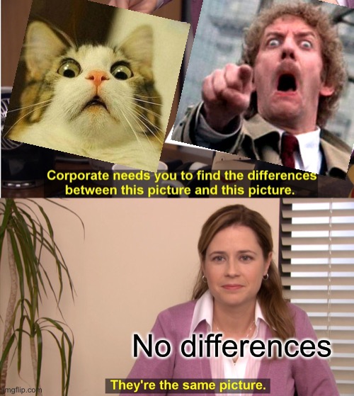 They're The Same Picture Meme | No differences | image tagged in memes,they're the same picture | made w/ Imgflip meme maker