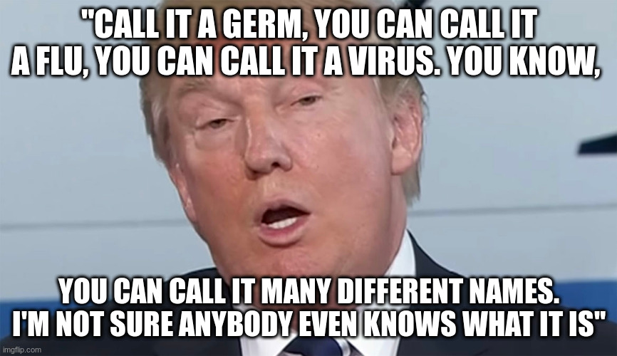 That's right Donald, if you don't know, probably nobody knows | "CALL IT A GERM, YOU CAN CALL IT A FLU, YOU CAN CALL IT A VIRUS. YOU KNOW, YOU CAN CALL IT MANY DIFFERENT NAMES. I'M NOT SURE ANYBODY EVEN KNOWS WHAT IT IS" | image tagged in trump,humor,sarcasm,covid-19,dunning-kruger effect | made w/ Imgflip meme maker