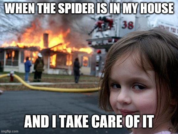 Disaster Girl | WHEN THE SPIDER IS IN MY HOUSE; AND I TAKE CARE OF IT | image tagged in memes,disaster girl | made w/ Imgflip meme maker