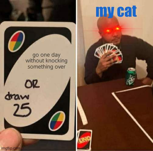 UNO Draw 25 Cards Meme | my cat; go one day without knocking something over | image tagged in memes,uno draw 25 cards,cats | made w/ Imgflip meme maker