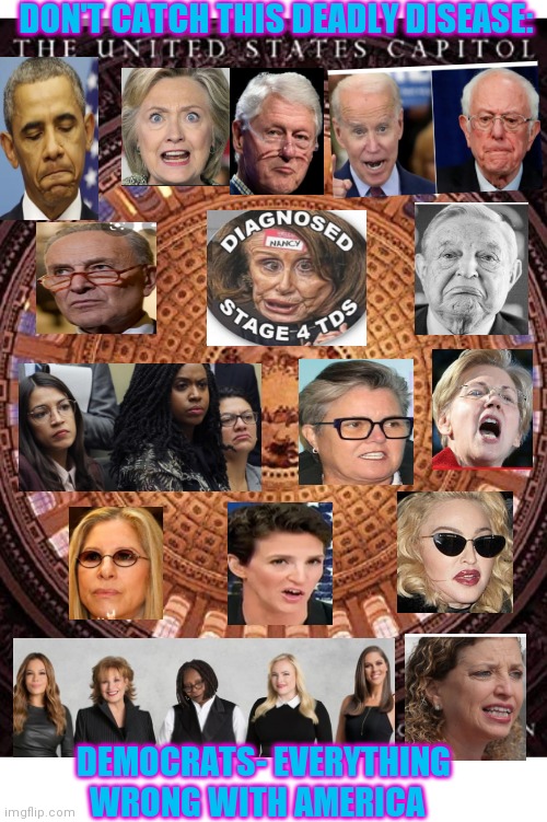DON'T CATCH THIS DEADLY DISEASE:; DEMOCRATS- EVERYTHING WRONG WITH AMERICA | image tagged in democrats,suck | made w/ Imgflip meme maker