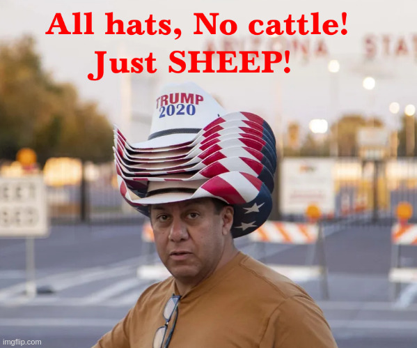 All Hats No Cattle Just Sheep Imgflip