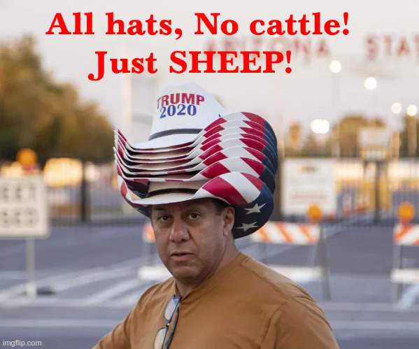 All hats no cattle! Just sheep! | image tagged in trump | made w/ Imgflip meme maker