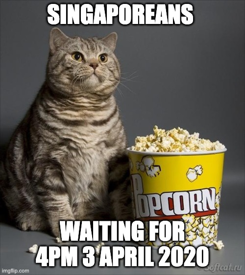 Cat eating popcorn | SINGAPOREANS; WAITING FOR 4PM 3 APRIL 2020 | image tagged in cat eating popcorn | made w/ Imgflip meme maker