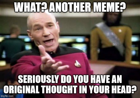 Picard Wtf Meme | WHAT? ANOTHER MEME? SERIOUSLY DO YOU HAVE AN ORIGINAL THOUGHT IN YOUR HEAD? | image tagged in memes,picard wtf | made w/ Imgflip meme maker