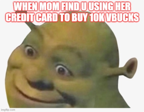 shreg | WHEN MOM FIND U USING HER CREDIT CARD TO BUY 10K VBUCKS | image tagged in shreg | made w/ Imgflip meme maker