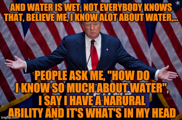 Donald Trump | AND WATER IS WET, NOT EVERYBODY KNOWS THAT, BELIEVE ME, I KNOW ALOT ABOUT WATER,... PEOPLE ASK ME, "HOW DO I KNOW SO MUCH ABOUT WATER", I SA | image tagged in donald trump | made w/ Imgflip meme maker