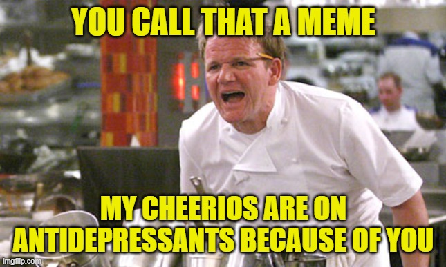 gordon ramsay meme |  YOU CALL THAT A MEME; MY CHEERIOS ARE ON ANTIDEPRESSANTS BECAUSE OF YOU | image tagged in gordon ramsay meme,memes,funny,funny memes,cheerios,lmao | made w/ Imgflip meme maker