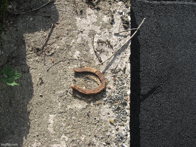 Found when we had our driveway redone | image tagged in giddyup | made w/ Imgflip meme maker