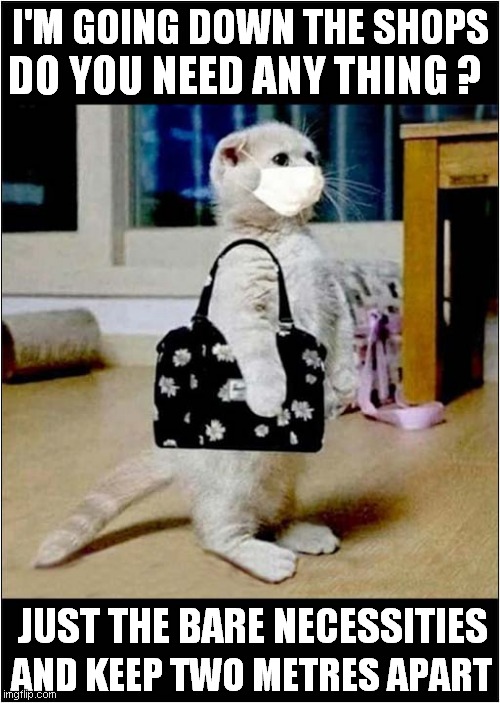 Socially Responsible Cat | I'M GOING DOWN THE SHOPS; DO YOU NEED ANY THING ? JUST THE BARE NECESSITIES; AND KEEP TWO METRES APART | image tagged in fun,socially responsible cat,cats,corona virus | made w/ Imgflip meme maker