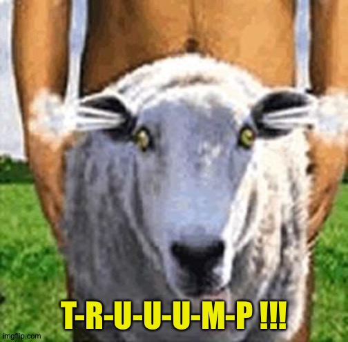 Sheepsex | T-R-U-U-U-M-P !!! | image tagged in sheepsex | made w/ Imgflip meme maker