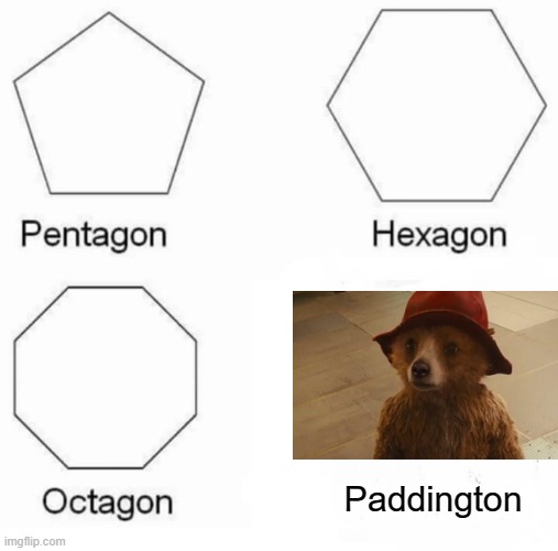 BearShape | Paddington | image tagged in memes,pentagon hexagon octagon | made w/ Imgflip meme maker