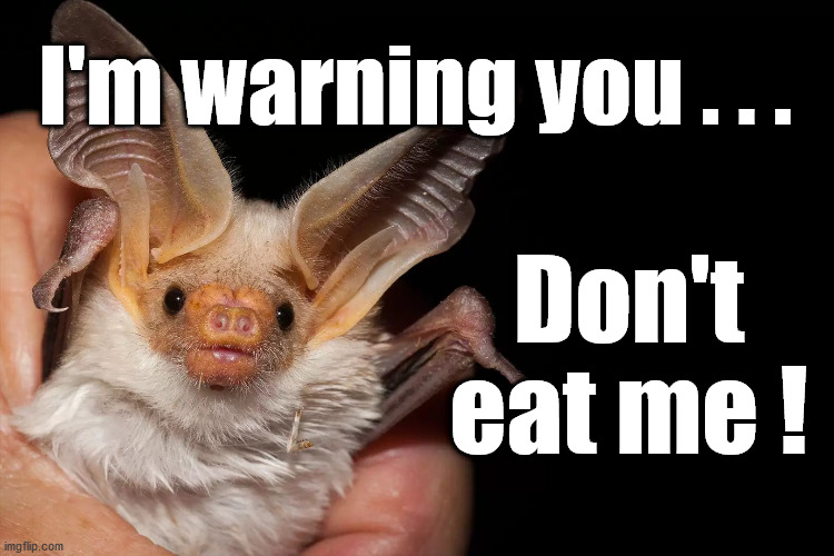 Coronavirus covid-19 | I'm warning you . . . Don't eat me ! | image tagged in bat,coronavirus,corona virus,covid-19,china,covid19 | made w/ Imgflip meme maker