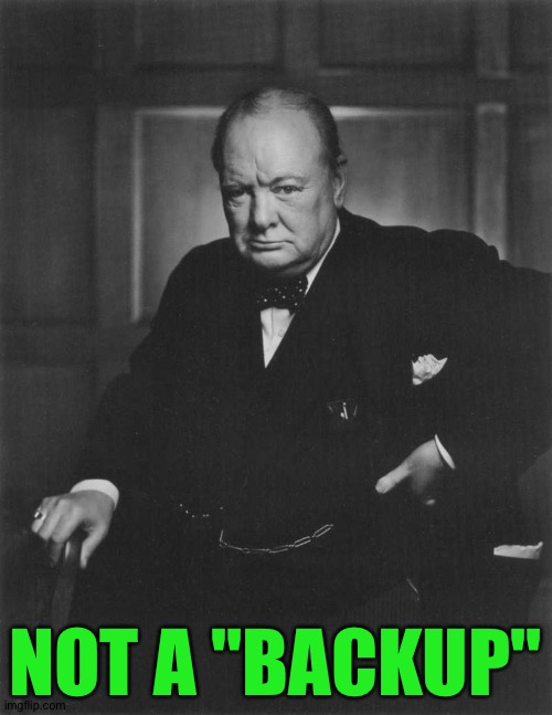 "We shall never surrender!" | NOT A "BACKUP" | image tagged in winston churchill | made w/ Imgflip meme maker