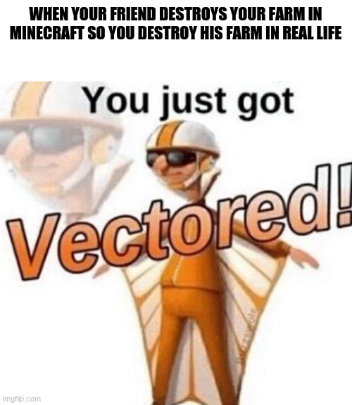 You just got vectored | WHEN YOUR FRIEND DESTROYS YOUR FARM IN MINECRAFT SO YOU DESTROY HIS FARM IN REAL LIFE | image tagged in you just got vectored | made w/ Imgflip meme maker