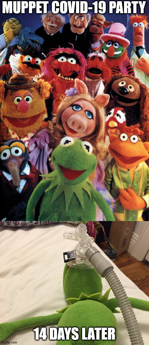 MUPPET COVID-19 PARTY; 14 DAYS LATER | image tagged in muppets,kermit oxygen mask | made w/ Imgflip meme maker