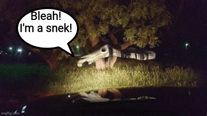 Long horse | Bleah! I'm a snek! | image tagged in long horse | made w/ Imgflip meme maker
