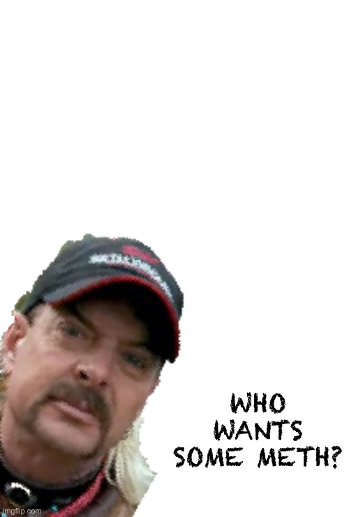 Just visiting your timeline | WHO WANTS SOME METH? | image tagged in joe exotic,meth | made w/ Imgflip meme maker