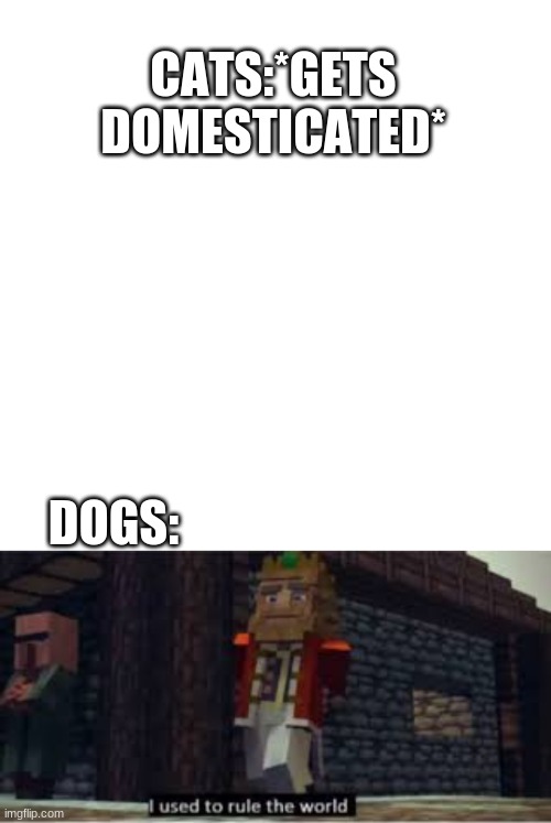 CATS:*GETS DOMESTICATED*; DOGS: | image tagged in memes,blank transparent square | made w/ Imgflip meme maker