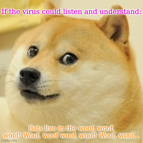 Doge | If the virus could listen and understand:; Bats live in the woof, woof, woof! Woof, woof woof, woof! Woof, woof... | image tagged in memes,doge | made w/ Imgflip meme maker